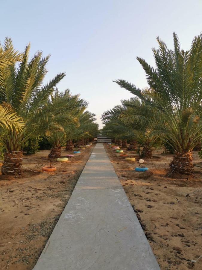 Almazham Camp Resort Al Ula Exterior photo