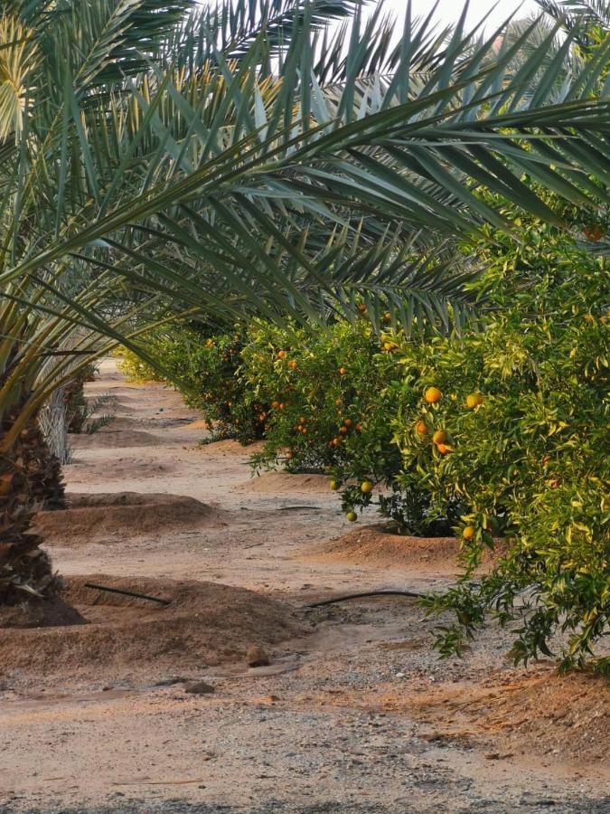 Almazham Camp Resort Al Ula Exterior photo