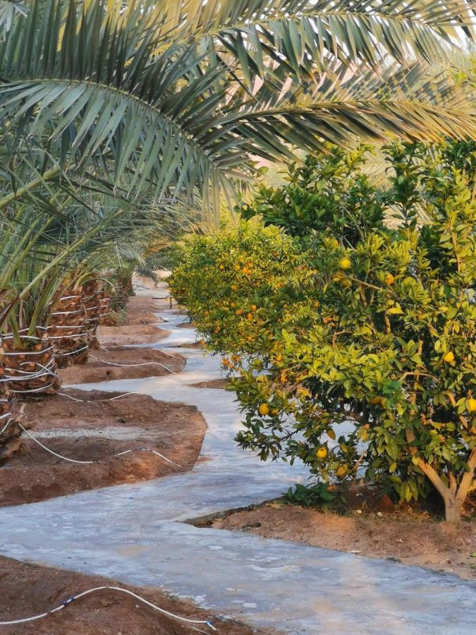 Almazham Camp Resort Al Ula Exterior photo